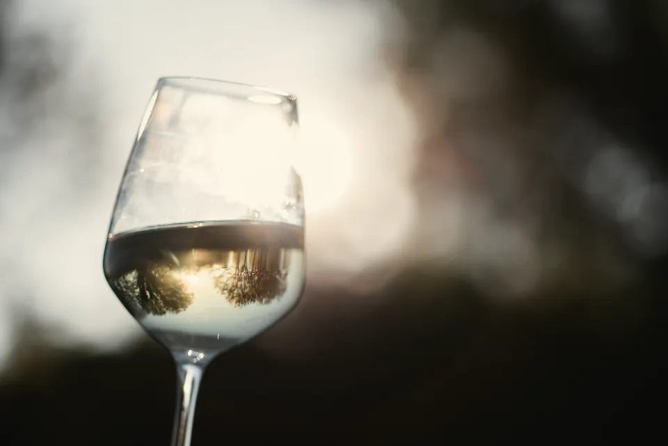 Verre de vin blanc dans la lumière du soir